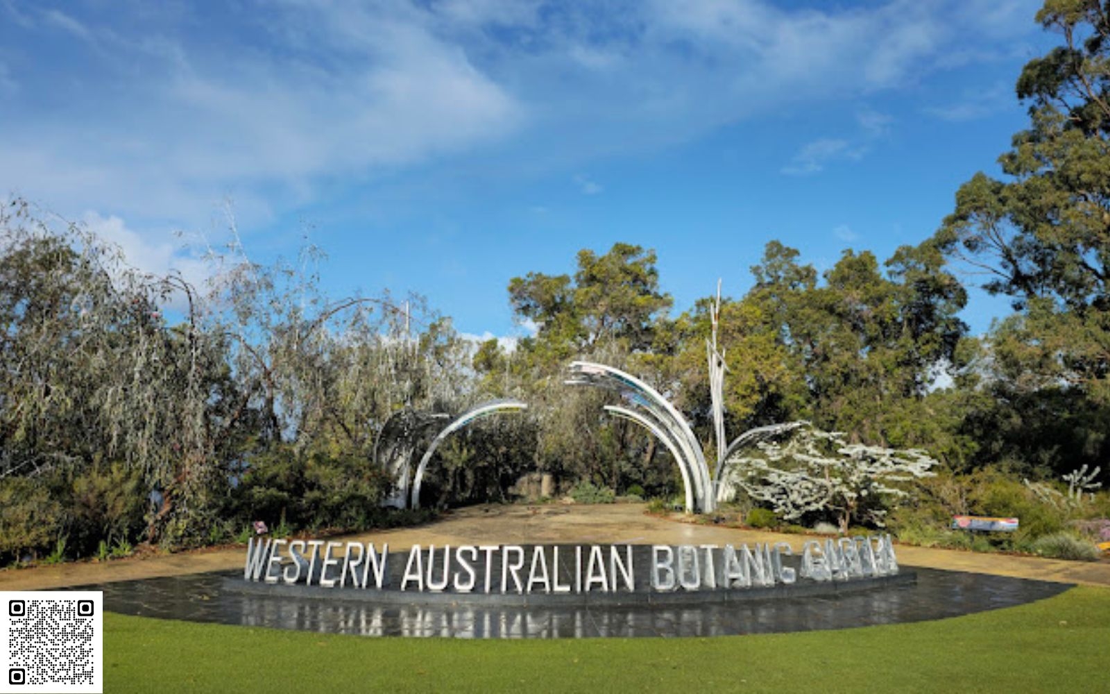 Perth’s Trusted Reputation Management Agency